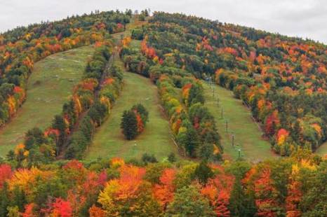 Autumn Views