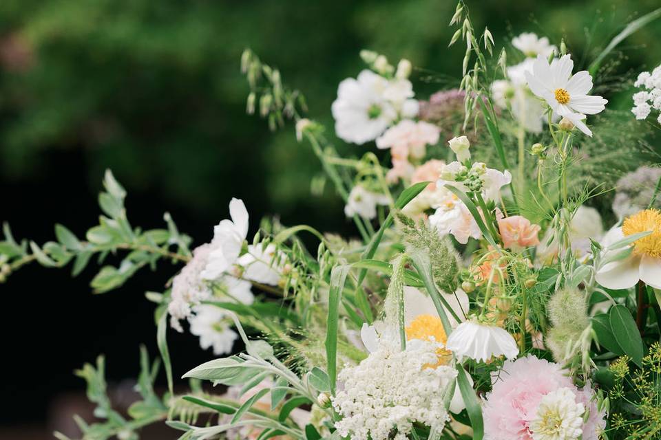 Sweetfield Flowers