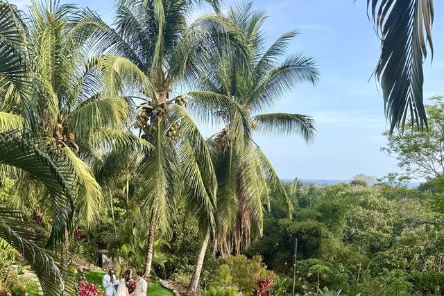 Jungle Garden Ceremony