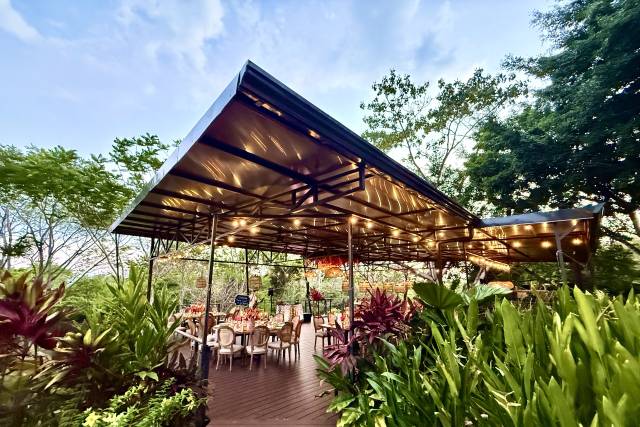 Jungle Deck