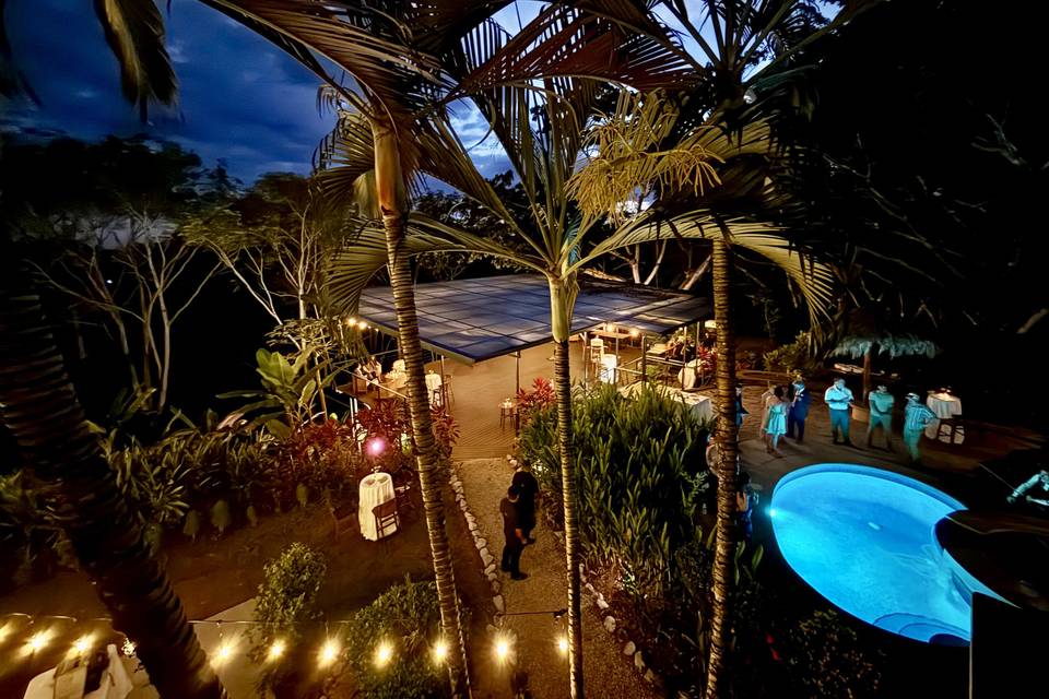 View of Reception garden