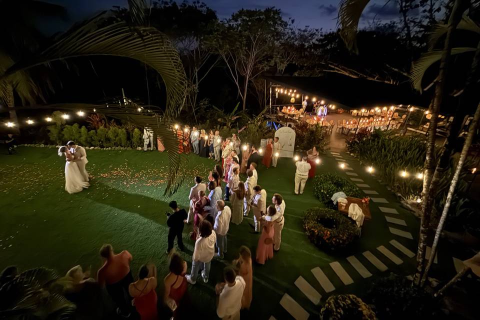 Jungle Garden First Dance