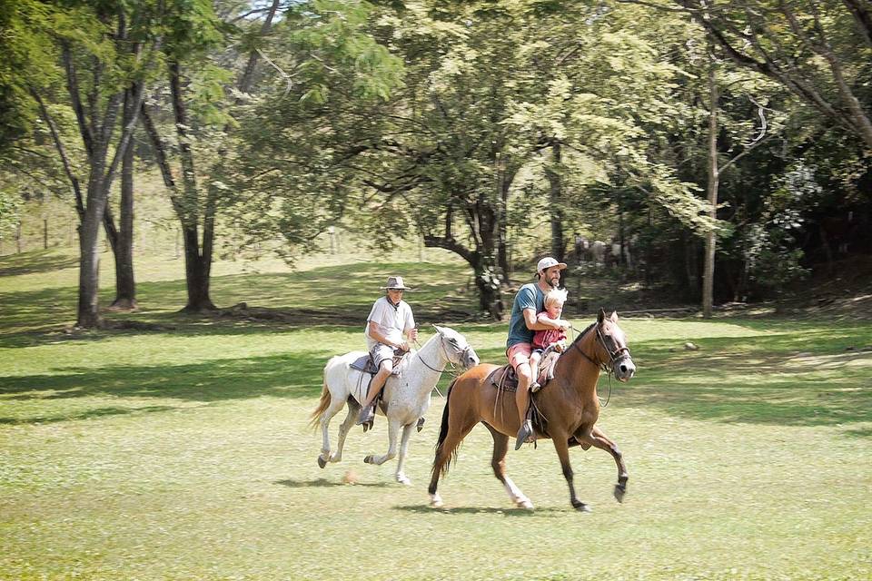 Del Pacifico Estate - Pura Vida Casas