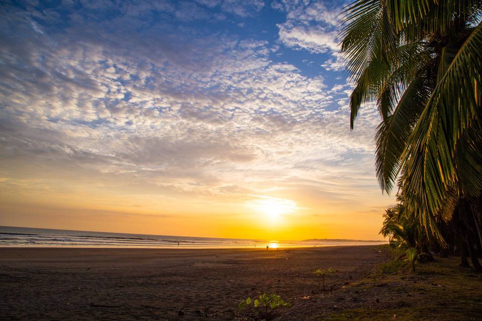 Del Pacifico Estate - Pura Vida Casas