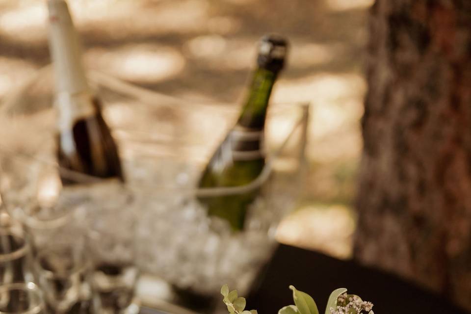 Romantic RiverSong