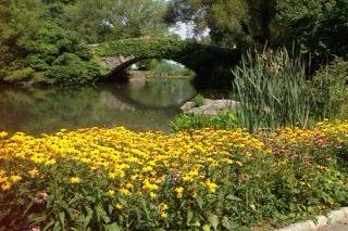 Gapstow bridge, central park