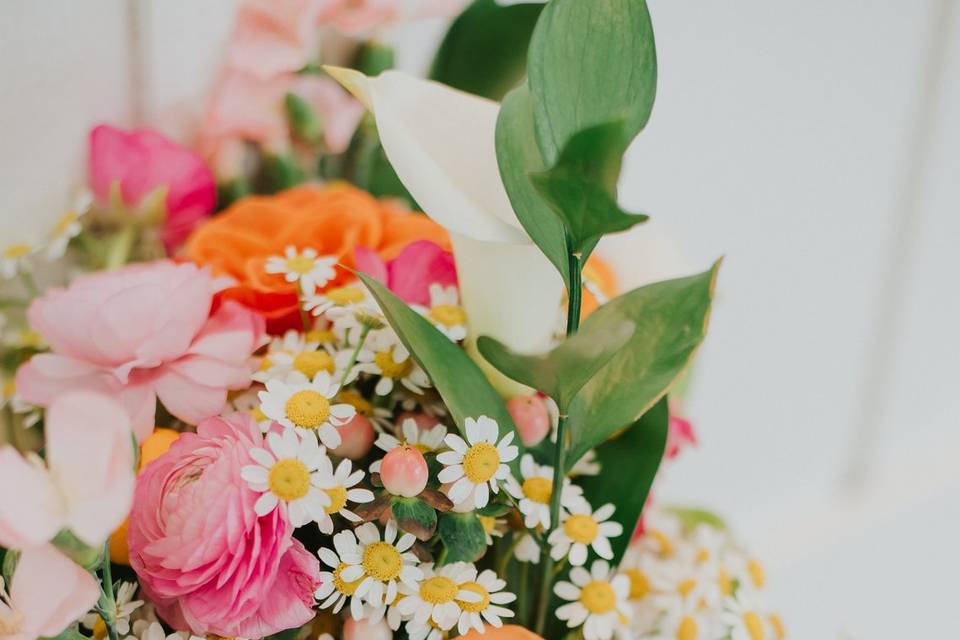 Brooke Leigh Photography