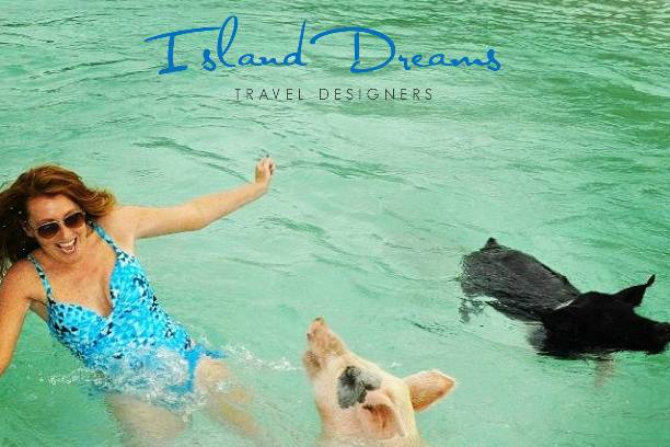 Island Dreams