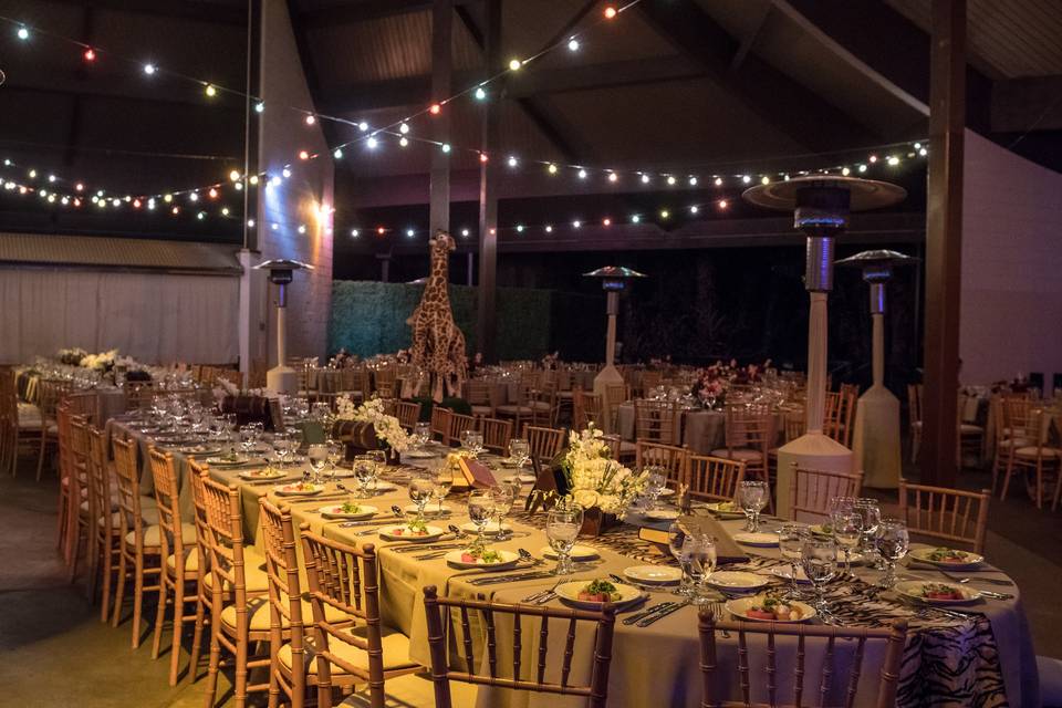 The Los Angeles Zoo - Venue - Los Angeles, CA - WeddingWire