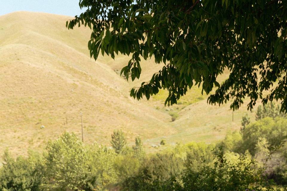 Ripple Ranch Idaho