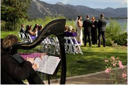 Wedding with harpist