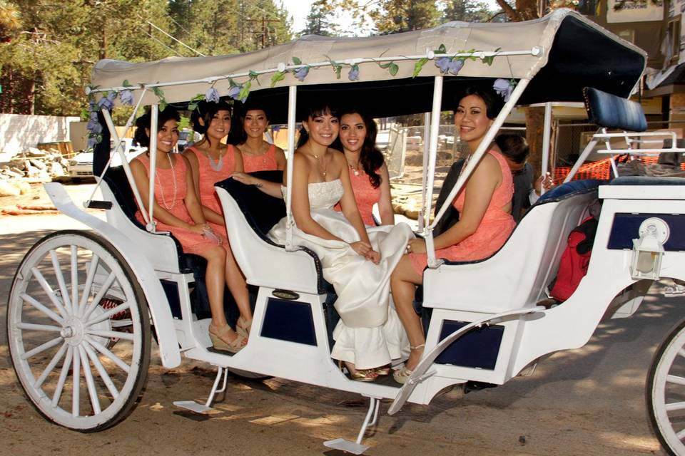 Bridesmaids and the bride in a carriage