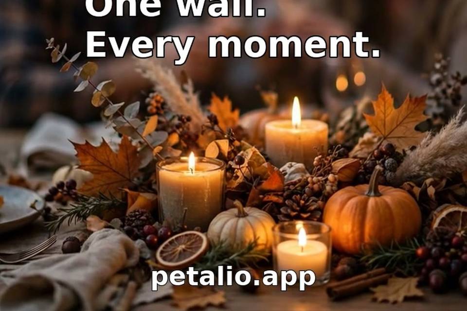 petalio-listing-4.jpg