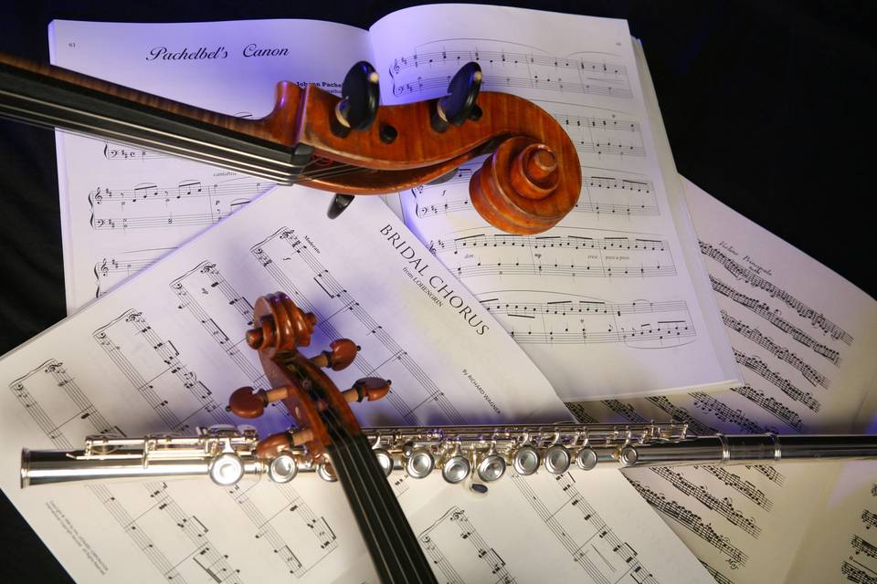 Elegant music for your wedding. Not sure what you want?  We have years of experience and can help you select music you will love for this special day.