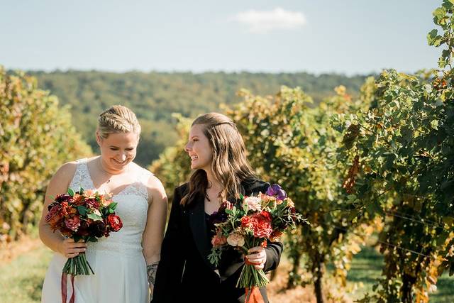 In the Vines