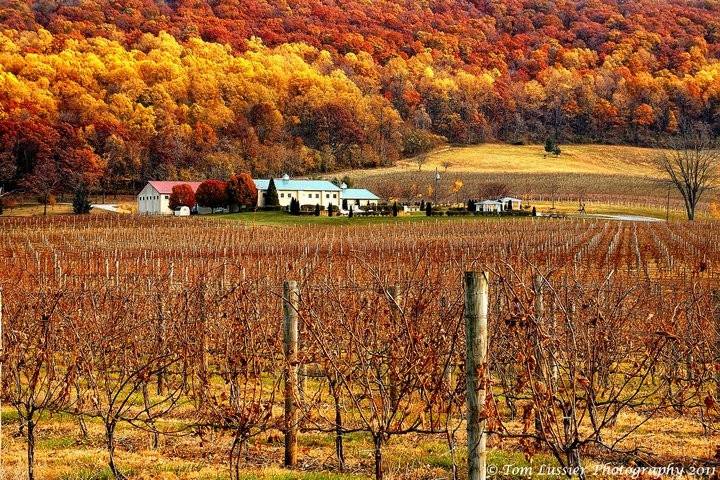 Breaux Vineyards