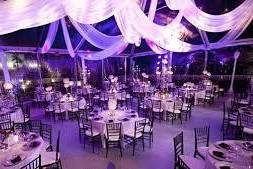 Elegance and Style Weddings