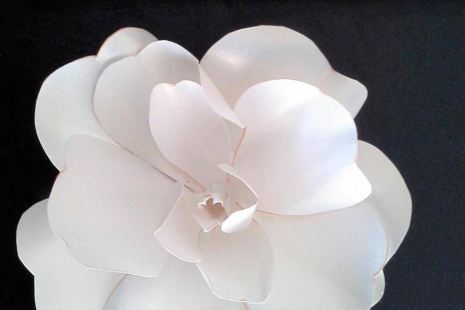 Card stock gardenia