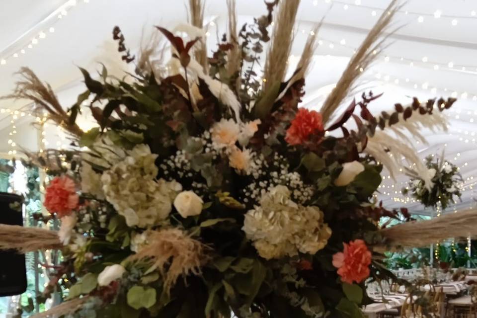 JY FLORISTERIS