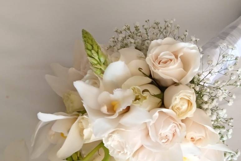 JY FLORISTERIS