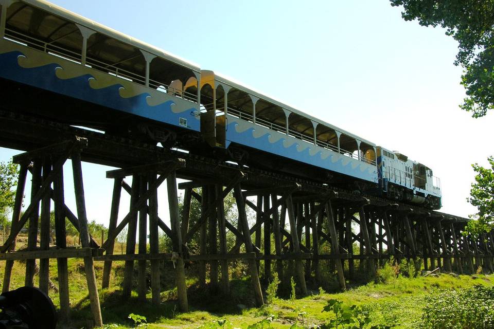 Sacramento RiverTrain