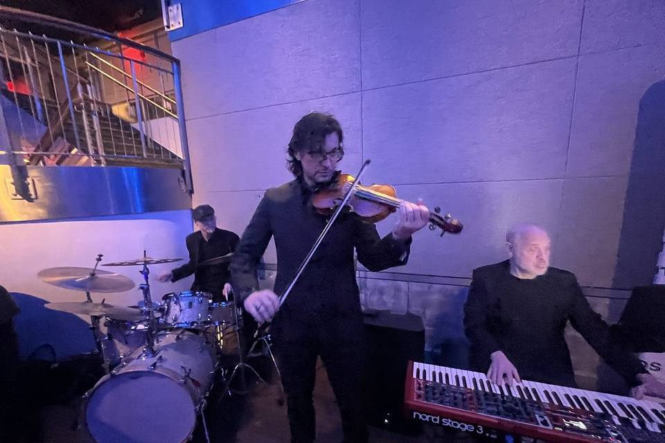 Cocktail Jazz Violin