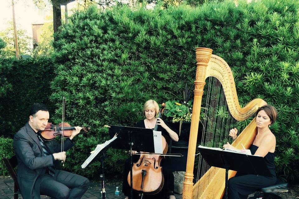 Harp, Violin, Cello Trio