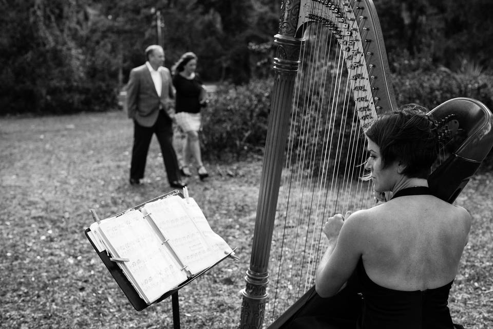 Harpist, Kristin King