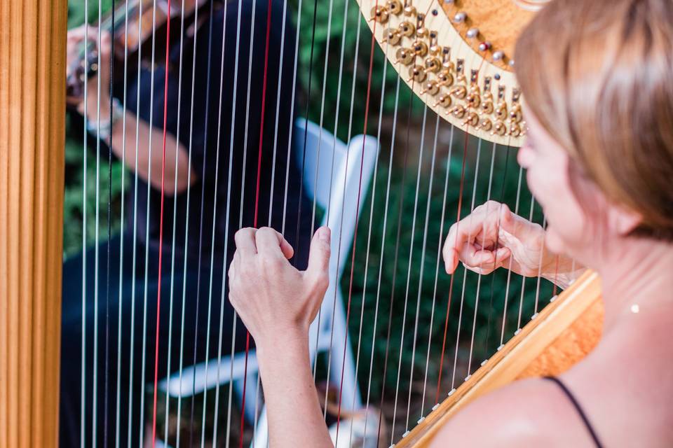 Harp and violin