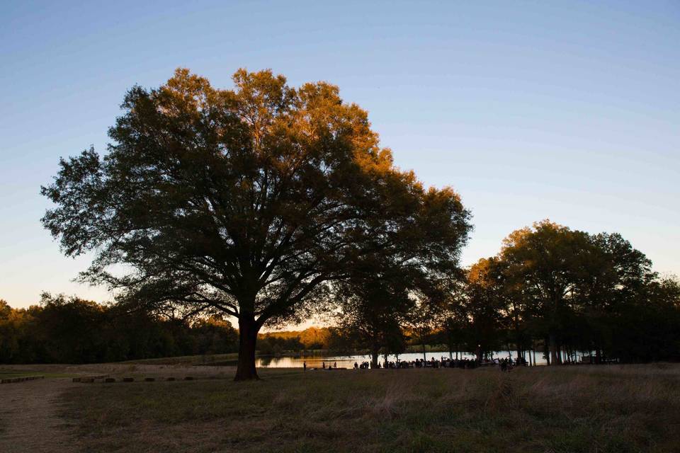 Wild Hope Farm