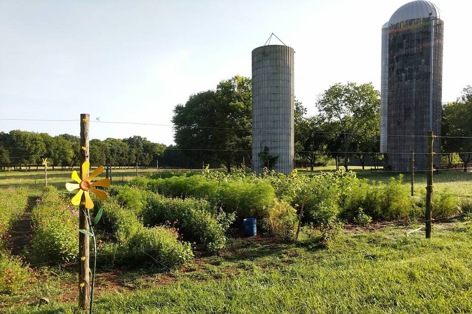 Wild Hope Farm