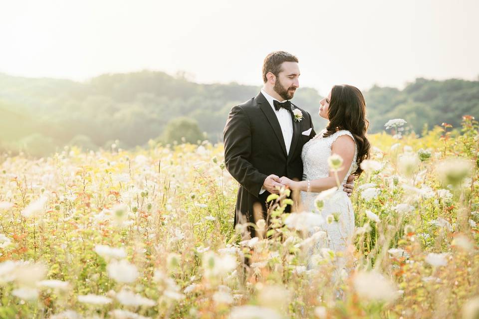 Sunset in field