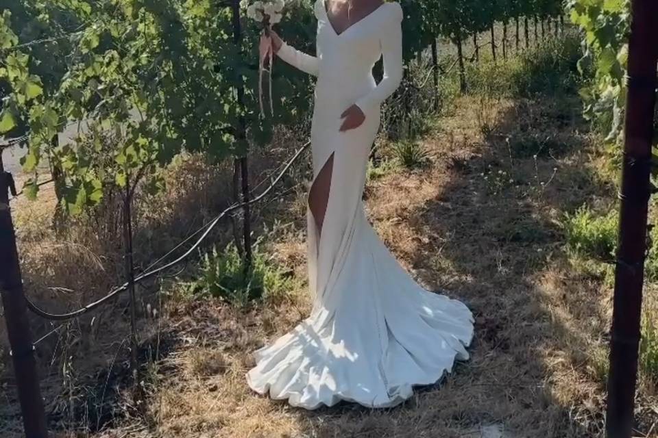 In the vines