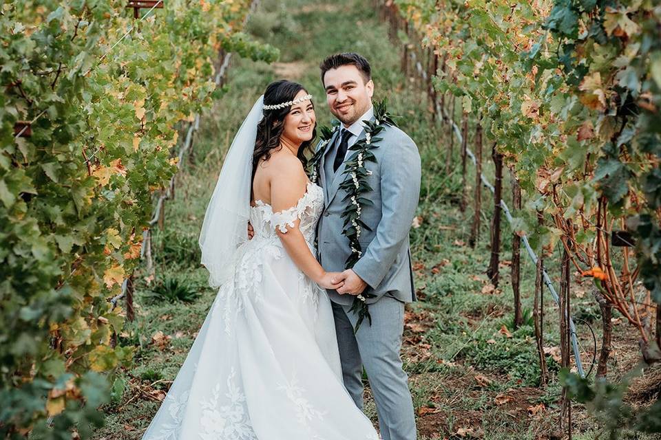 In the Vineyards
