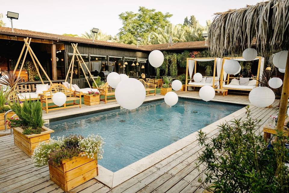 The Butterfly Effect Weddings