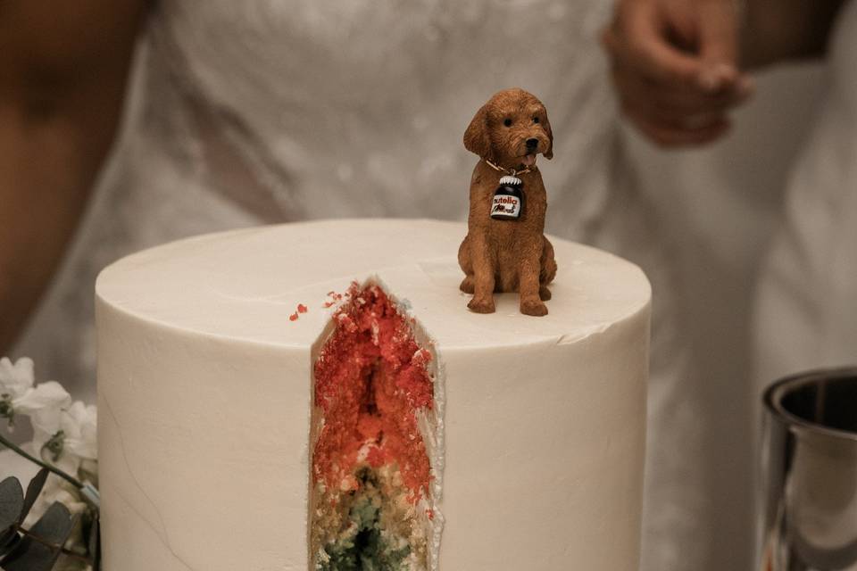 Jenna & Amalia's Wedding