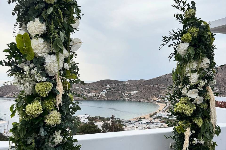 The Butterfly Effect Weddings