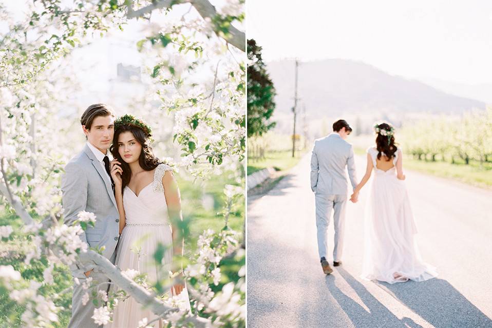 Blue Rose Photography - Seattle Wedding Photographer