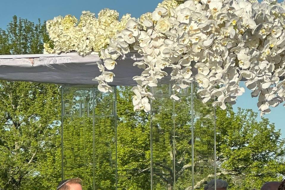 Chuppah June 2023