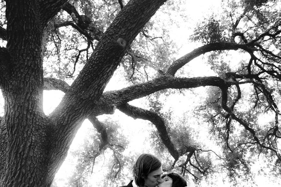 Houston Wedding 71