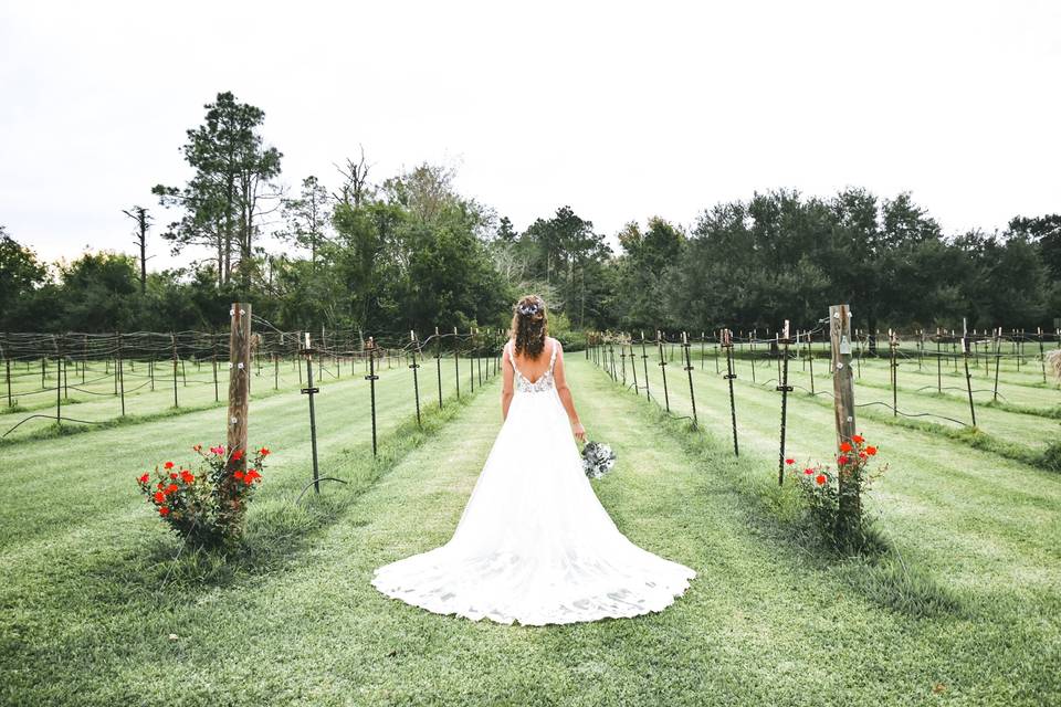 Houston Wedding 59
