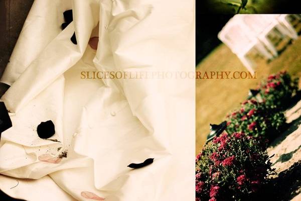 Slices of Life Photography
