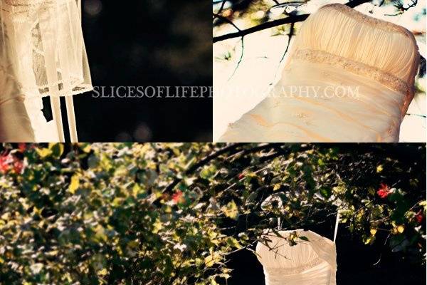 Slices of Life Photography