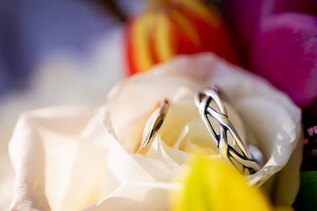 Photos you can't help loving