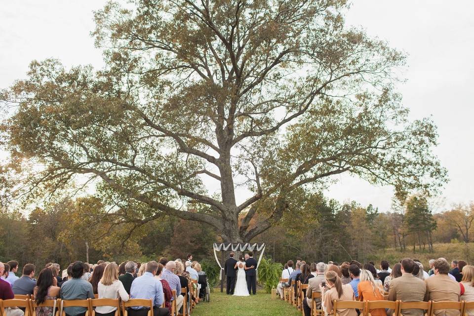 Wedding ceremony