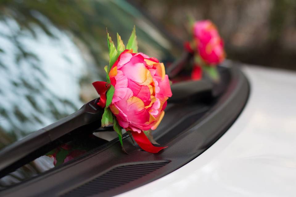 Pink flowers