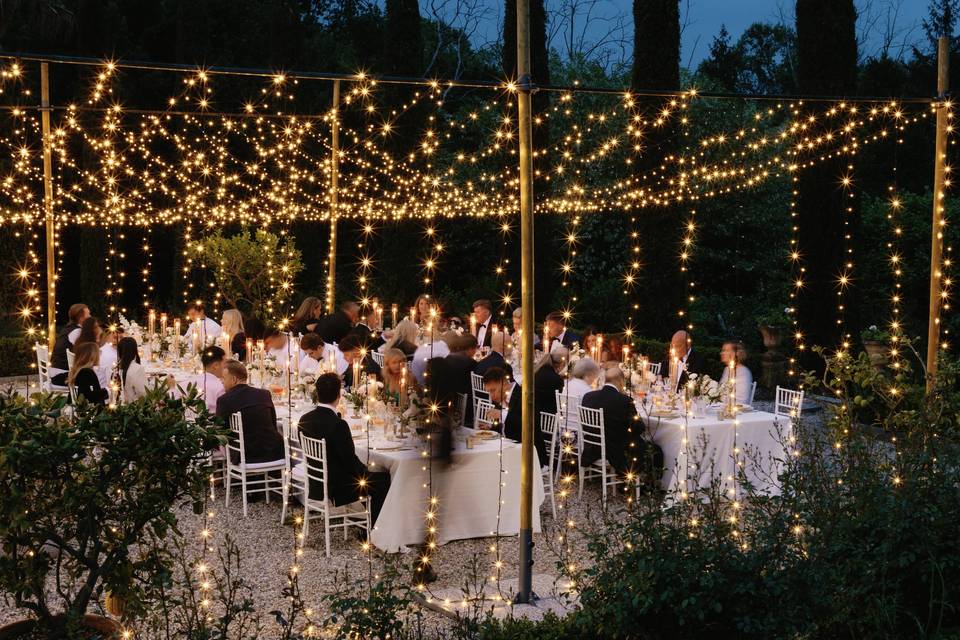 Canopy of Lights