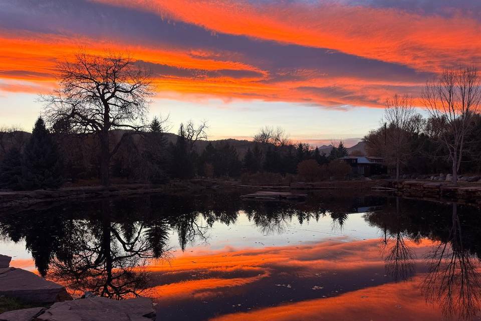Lazy Stud Ranch