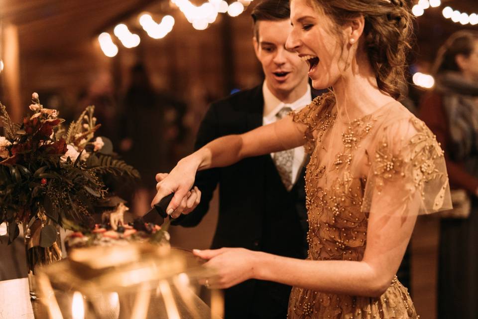 Bride and groom cutting cake