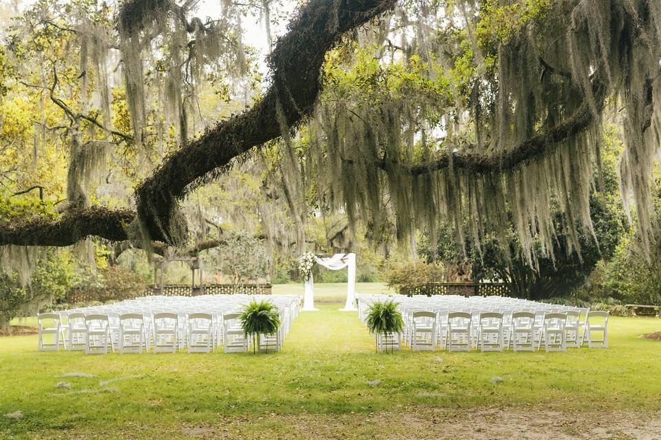 Traveler passing through Charleston lends gardening club a helping